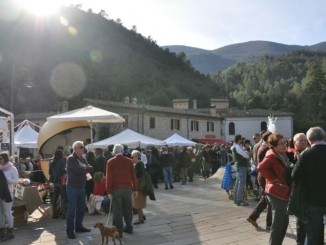 A Diamante Nero il libro di Egildo Spada