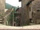 ceselli di scheggino