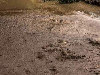 Norcia, detriti e fango si abbattono a Nottoria