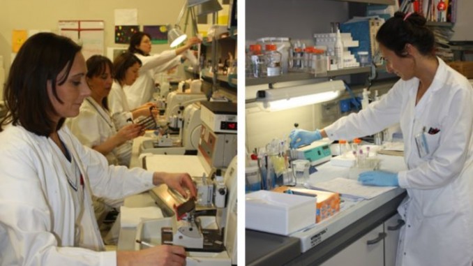 Patologie gastroenteriche, tre regioni in congresso a Norcia