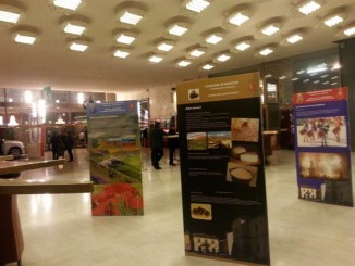 Il dopo EXPO di Norcia a Milano