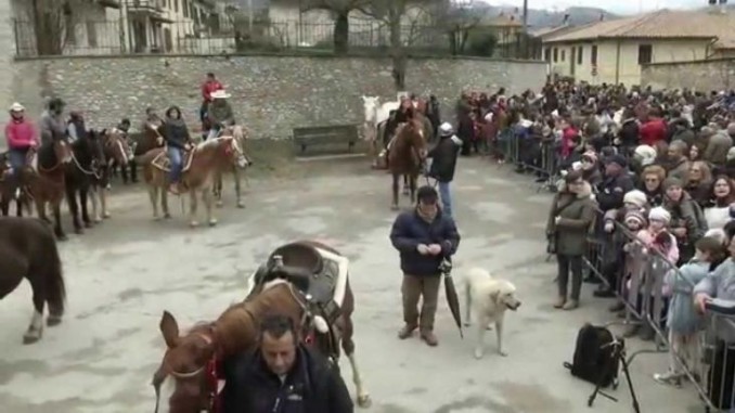 Sant’Antonio Abate su TEF Channel La festa di Norcia Giovedì 21 alle ore 20:45 sul canale 12 del digitale terrestre