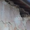 Terremoto, Comune di Norcia, avviso per l’attività economiche