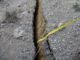 Terremoto Centro Italia, effetti in superficie rilevati dal gruppo EMERGEO-INGV