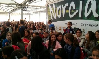 Dirigenti scuola Norcia, accorato appello a Ministro Stefania Giannini