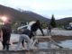 A Campi si rimboccano le maniche, aiutiamoli, c'è l'Iban a disposizione