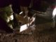 Una carrozzina per una nonnina di 101 anni, da Viterbo a Cascia