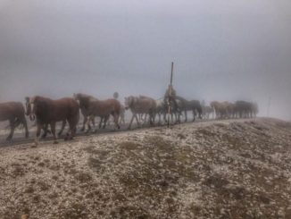 Natalia Estrada alla transumanza di Castelluccio di Norcia