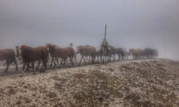 Natalia Estrada alla transumanza di Castelluccio di Norcia