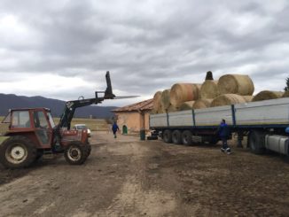 Terremoto, da Prato a Norcia, un piccolo grande contributo da parte dei bambini