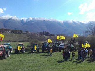 La fioritura della lenticchia a Castelluccio di Norcia è attesa da ben 250mila turisti