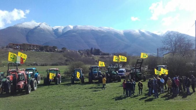 La fioritura della lenticchia a Castelluccio di Norcia è attesa da ben 250mila turisti