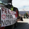 Semina lenticchia, protesta agricoltori a Norcia, regione vicina a coltivatori [INTERVISTA ASSESSORE CECCHINI]