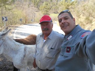 Asinelli sulla strada a Vallo di Nera, intervengono i Carabinieri Forestale