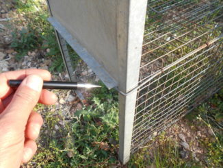 Caccia, usava trappole in rete metallica, denunciato responsabile