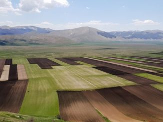 Comunanza Agraria di Castelluccio, una ventata primaverile di speranza