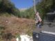 Sequestrati 400 quintali di legname taglio bosco alto fusto sui Sibillini