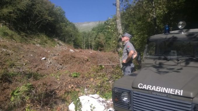 Infernaccio Sibillini, Parco ha fatto sua parte su vicenda alberi abbattuti
