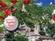 A Scheggino la festa di San Nicola apre le festività natalizie