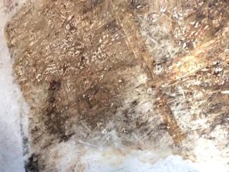Sae nel degrado a Opaco di Norcia, serve capire perché, video