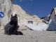 A Norcia in scena "I sogni di una notte" con il progetto TerrEmoticon