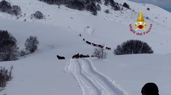 Maltempo in Valnerina, Coldiretti Umbria a fianco degli imprenditori