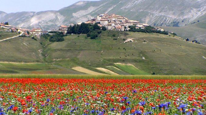 Fioritura Castelluccio, ecco il piano mobilità sostenibile 2022
