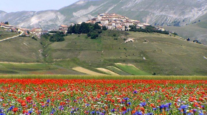 Fioritura Castelluccio, ecco il piano mobilità sostenibile 2022