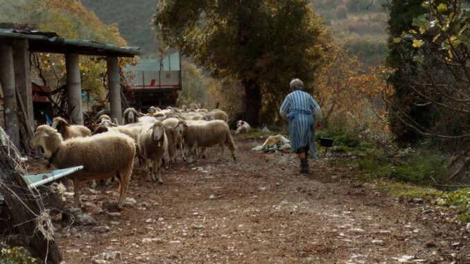 Vallo di Nera 19 agosto arriva film di Anna Kauber ‘In questo mondo’ 