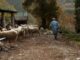 Vallo di Nera 19 agosto arriva film di Anna Kauber ‘In questo mondo’ 