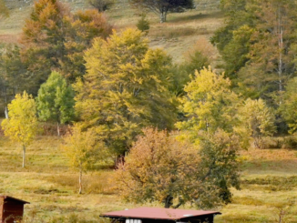 In montagna farsi incantare da tradizioni foliage progetti guardano avanti