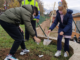 Norcia, festa degli alberi "Esempio dai bambini per tutelare l'ambiente"