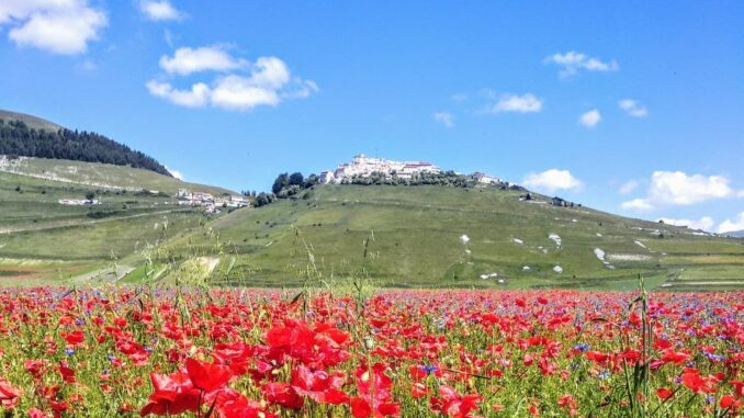 Norcia, Castelluccio, nuove opere e servizi per il paese. Il Sindaco ha incontrato nei giorni scorsi il Presidente della Comunanza Agraria
