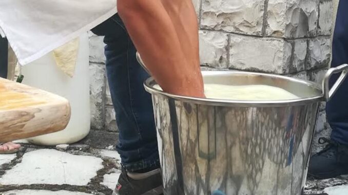 Giovani greci a Vallo di Nera per apprendere l’arte casearia