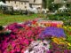 A Sant’Anatolia di Narco pronta a sbocciare Primavera in Valnerina