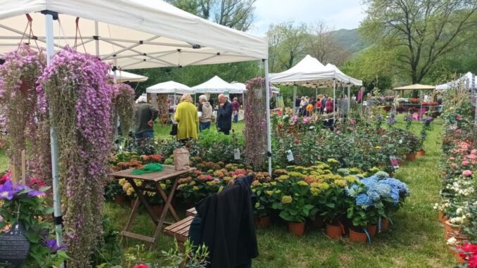 Torna Primavera in Valnerina, Sant’Anatolia di Narco giardino fiorito