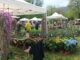 Torna Primavera in Valnerina, Sant’Anatolia di Narco giardino fiorito