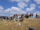 Camminata dei poeti pastori a Castelluccio: tra memoria e sostenibilità