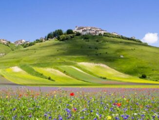 Festival dell'appennino. Tre mesi di eventi nei territori del Sisma