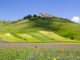 Festival dell'appennino. Tre mesi di eventi nei territori del Sisma