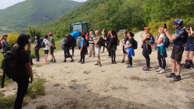 Good Morning Sibillini: Bolognola, tra boschi e scenari d'incanto