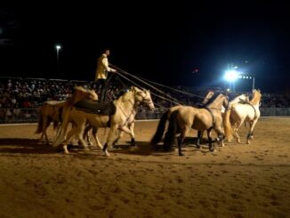 Diego Giona trionfa al Gran Galà Equestre di Cascia