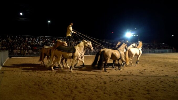 Diego Giona trionfa al Gran Galà Equestre di Cascia