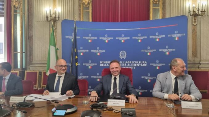 Nuove opportunità attività agro-silvo-pastorali cratere sisma 2016