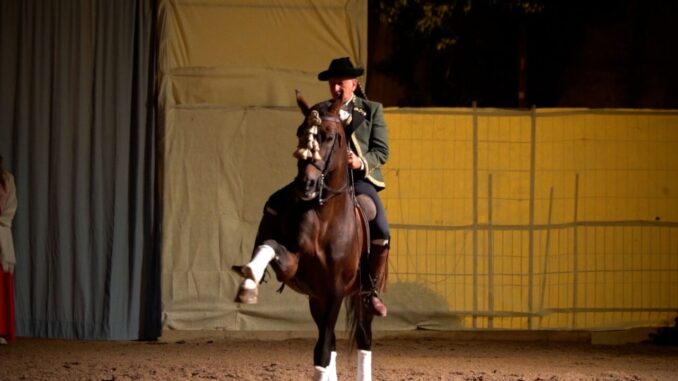 Spettacolo, cresce l’attesa per il Galà equestre Città di Cascia
