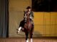 Spettacolo, cresce l’attesa per il Galà equestre Città di Cascia