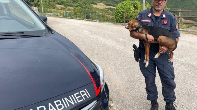 Guida in stato di ebbrezza: denunciato 23enne di Norcia