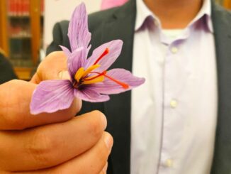 A Cascia prende il via il weekend 23ª Mostra mercato zafferano