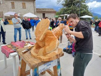 Grande successo a Meggiano per Il trionfo del bosco