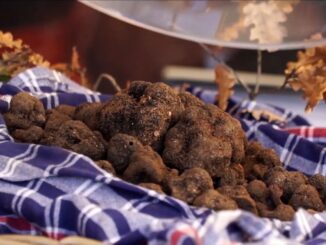 Nero Norcia: Mostra Mercato del Tartufo Nero dal 21 febbraio al 2 marzo